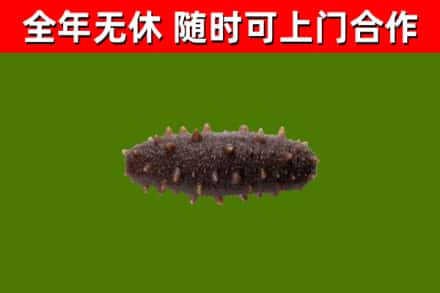 天祝县烟酒回收干海参.jpg